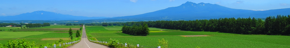 北海道地方